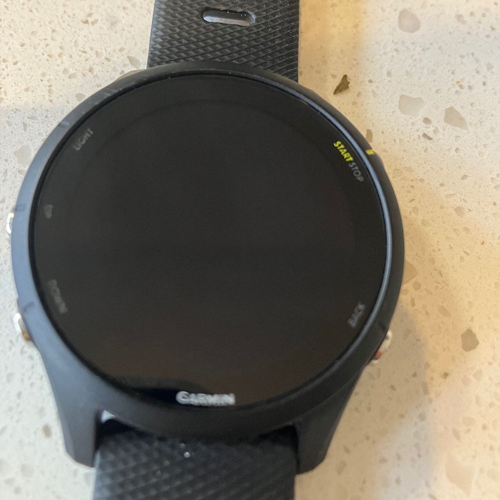 Garmin Forerunner 255 music